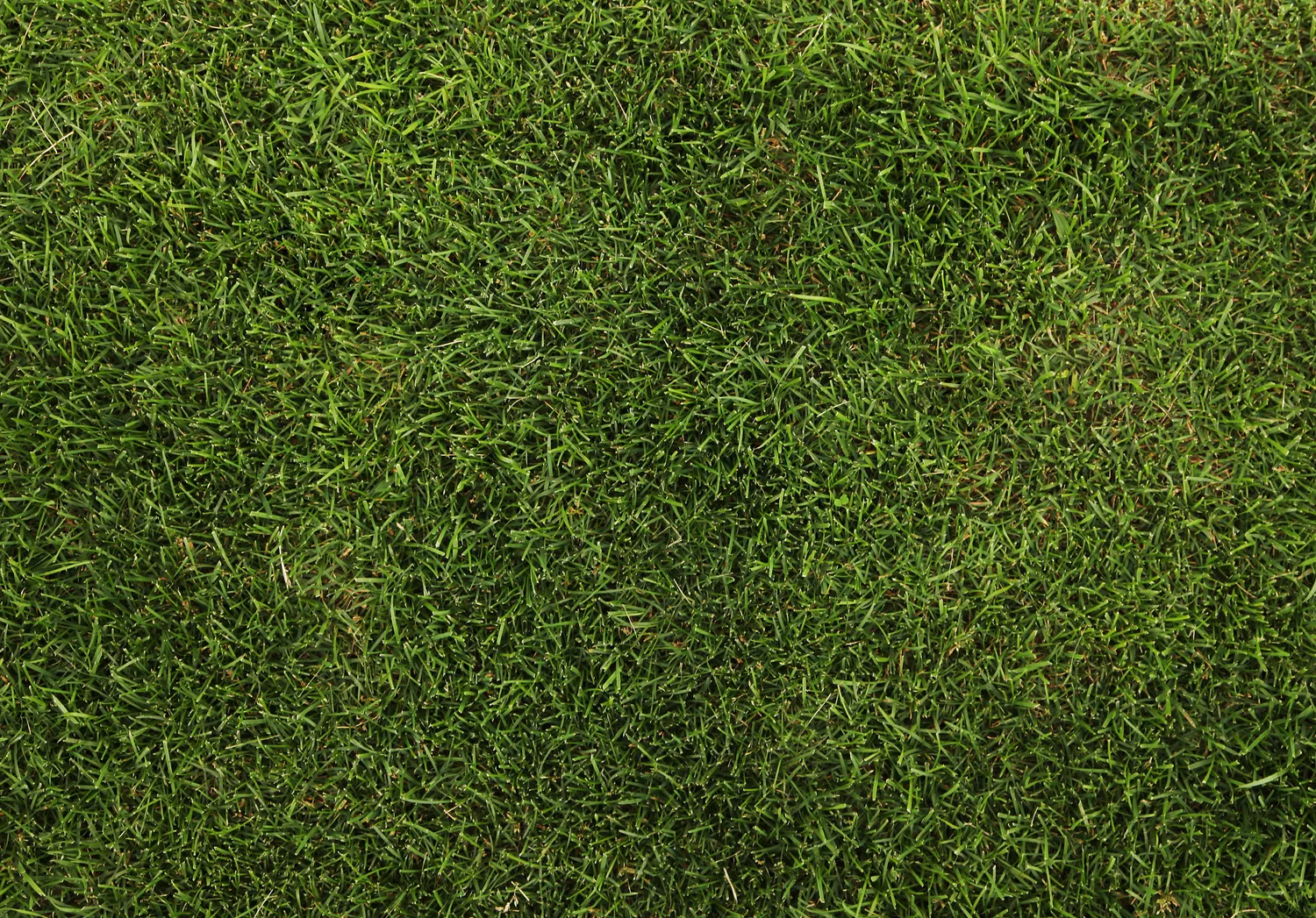 amenagement exterieur pleurtuit